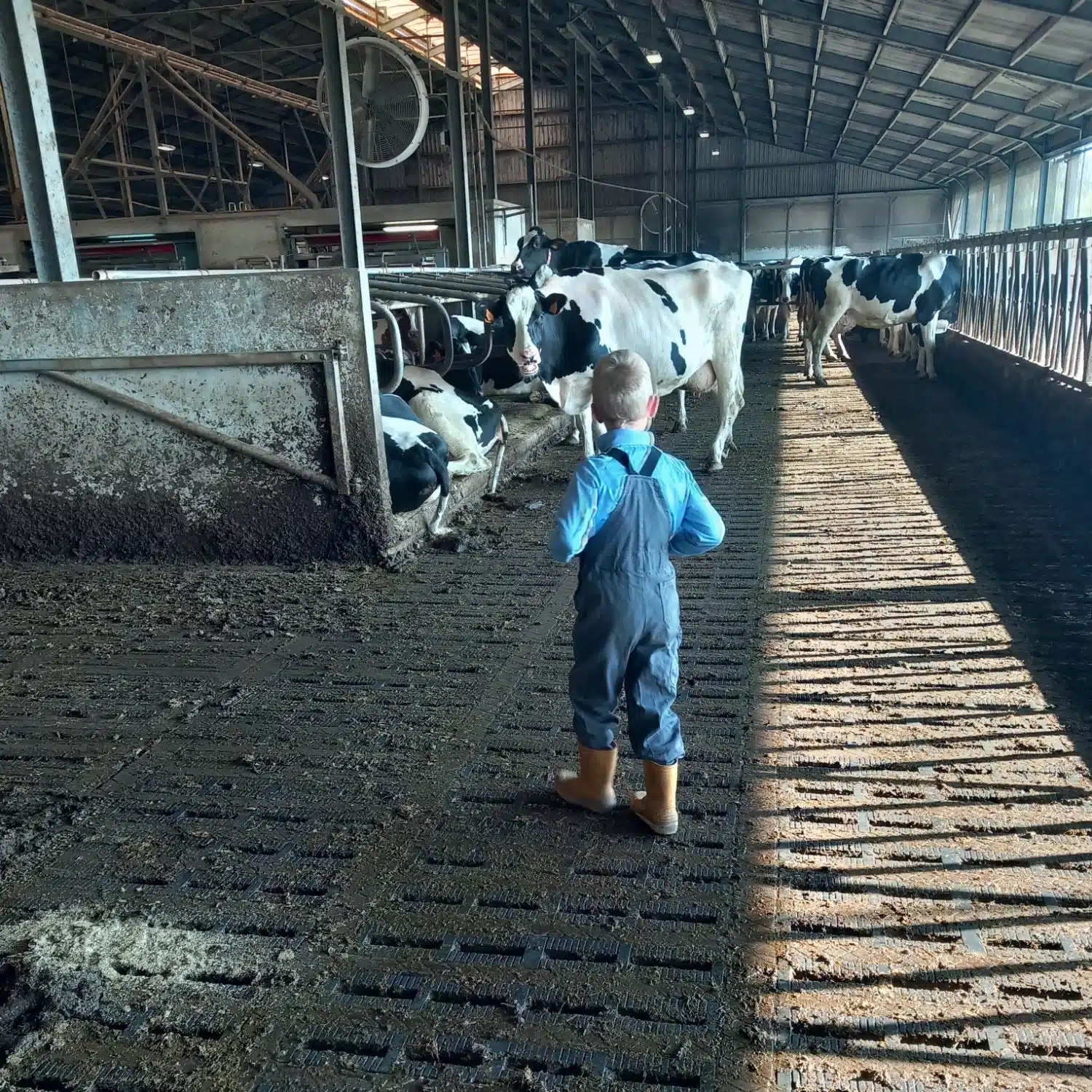 Sfeerfoto boerderij op het Klein Eyssel