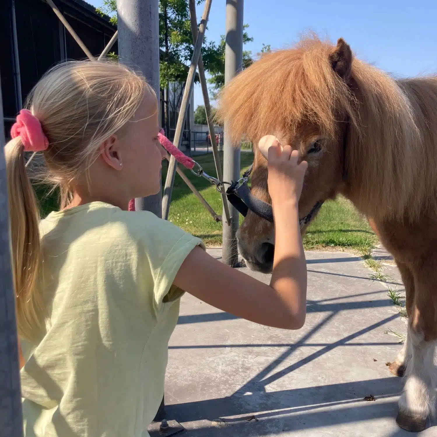 Sfeerfoto boerderij op het Klein Eyssel