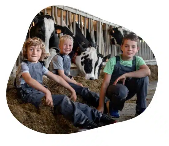 Sfeerfoto boerderij op het Klein Eyssel